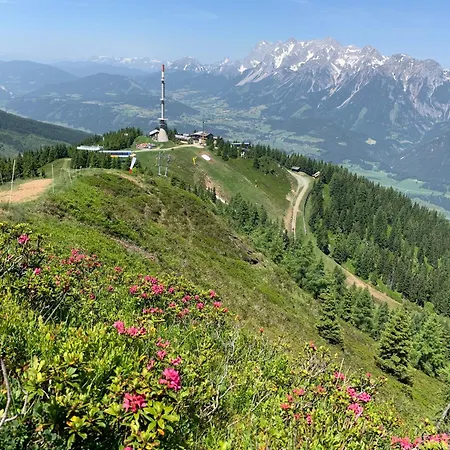 Hauszeit